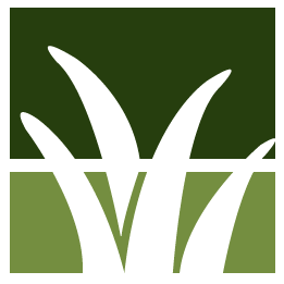 Pine Needle Removal Pros