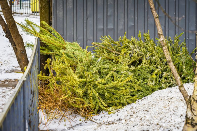 Contact About Pine Needle Removal